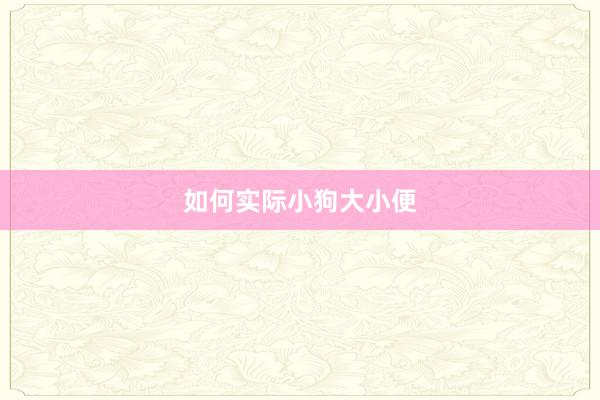 如何实际小狗大小便