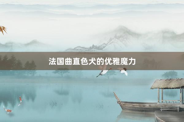 法国曲直色犬的优雅魔力