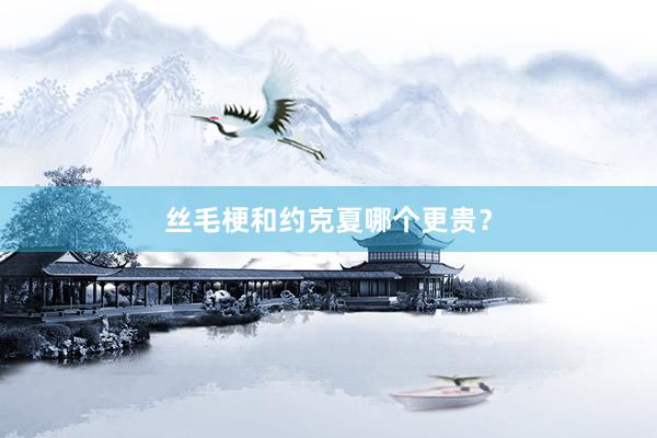 丝毛梗和约克夏哪个更贵？
